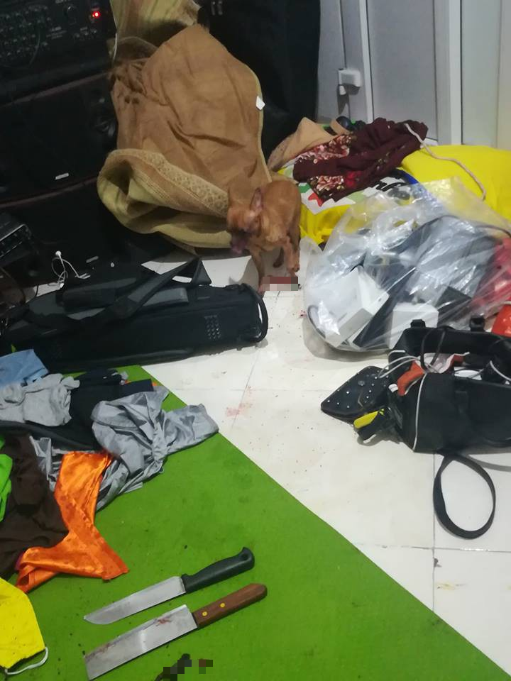 Phẫn nộ với clip cô gái mắng chửi, hành hạ chú chó chảy đầy máu