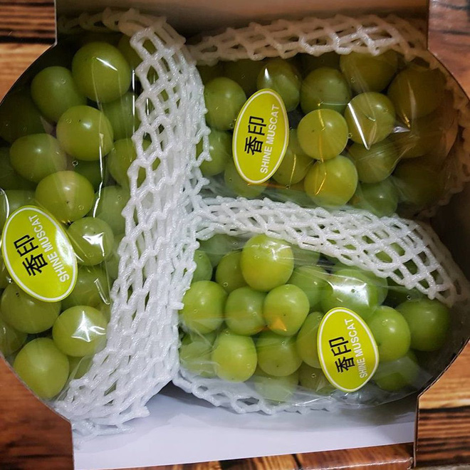 Bạo tay chi tiền triệu mua chùm nho mẫu đơn mệnh danh ngon nhất thế giới thưởng thức