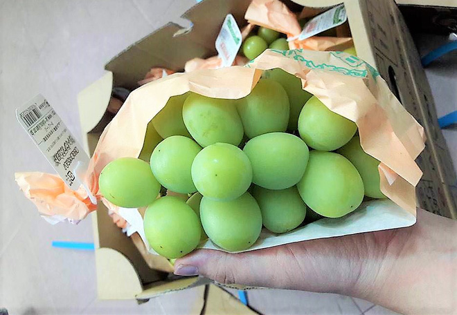 Bạo tay chi tiền triệu mua chùm nho mẫu đơn mệnh danh ngon nhất thế giới thưởng thức