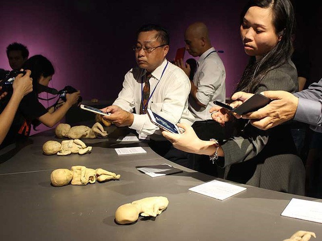 Triển lãm cơ thể người, thai nhi ở TP.HCM làm nóng họp báo Bộ Văn hóa