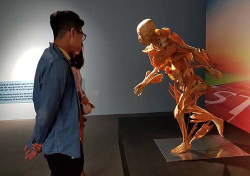 Bộ Văn hóa yêu cầu báo cáo về triển lãm cơ thể người