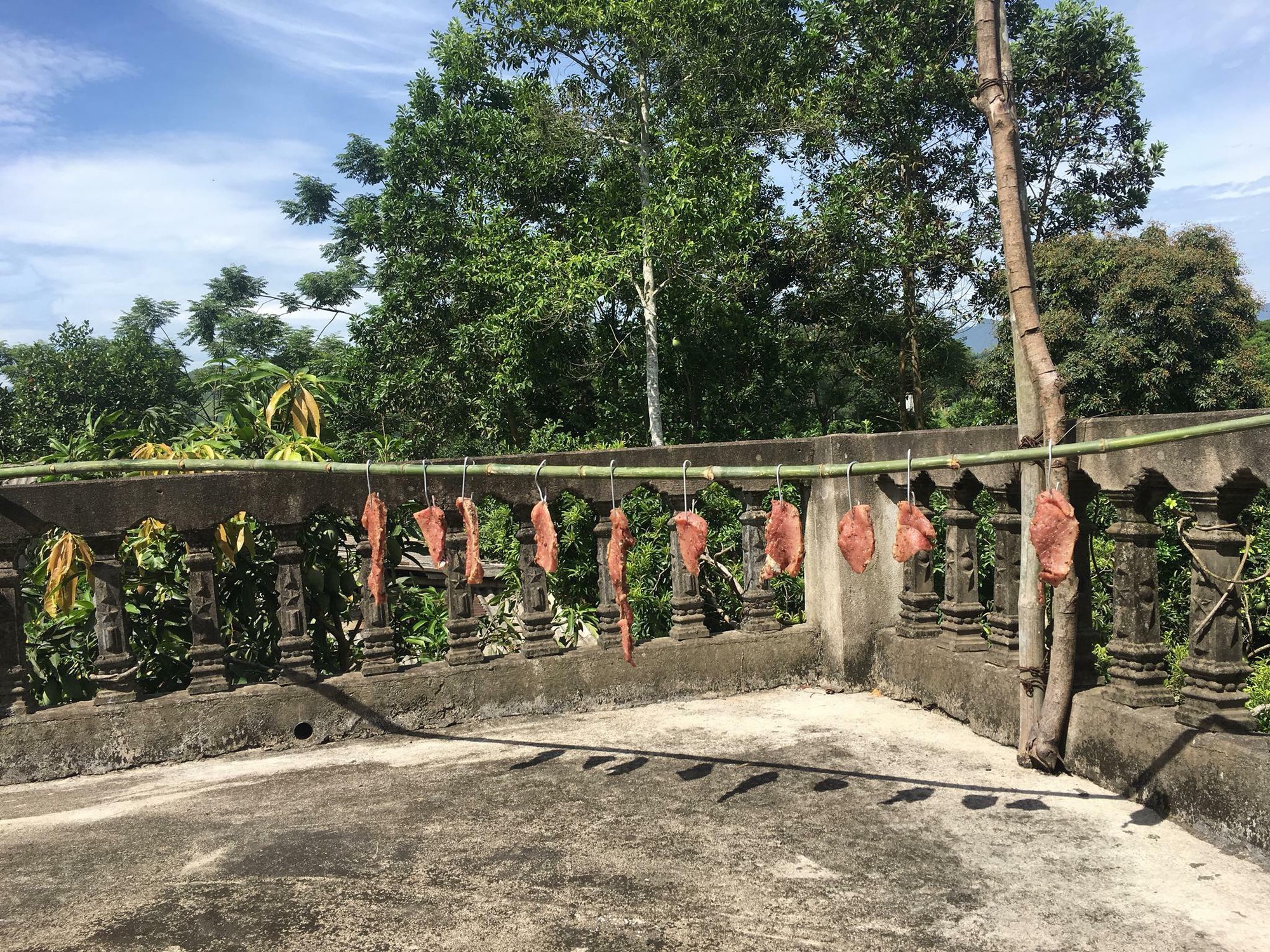 Trời nóng như đổ lửa, cư dân mạng tranh thủ làm món thịt lợn nhiều nắng để có đồ nhậu xem World Cup Trời nóng như đổ lửa, cư dân mạng tranh thủ làm món thịt lợn nhiều nắng để có đồ nhậu xem World Cup