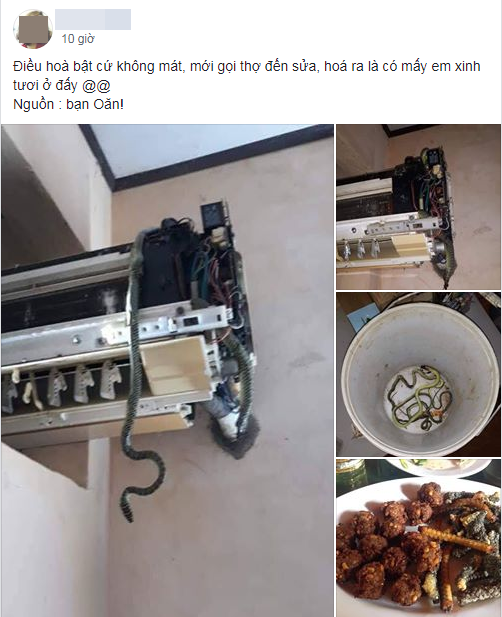 Bật điều hòa không mát, cô gái té xỉu khi trông thấy thủ phạm bên trong và cái kết bất ngờ hút ngàn like Bật điều hòa không mát, cô gái té xỉu khi trông thấy thủ phạm bên trong và cái kết bất ngờ hút ngàn like