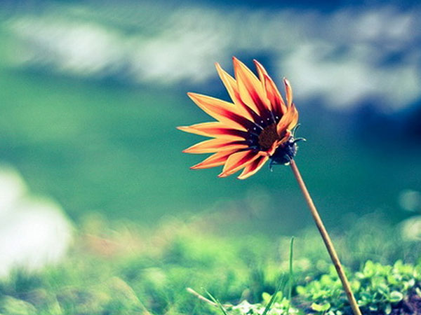 Chủ nhật của bạn (8/7): Sư Tử cho phép bản thân relax