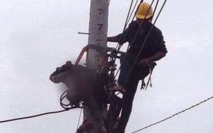 Dây điện giăng ngang đường sau mưa lớn giật một người tử vong