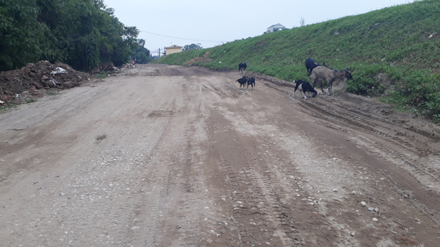 Cận cảnh cát tặc lộng hành phớt lờ chỉ đạo của Chủ tịch Hà Nội