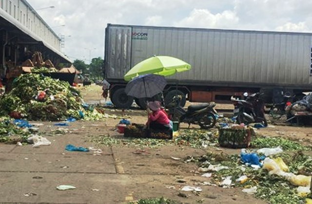 Mất 2 tỷ đồng/tháng để thu gom và đổ bỏ hoa quả dập, thối