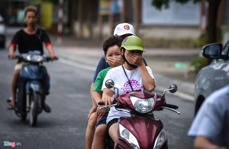 Cá chết dạt vào bờ nổi trắng hồ Tây, công nhân vớt không xuể