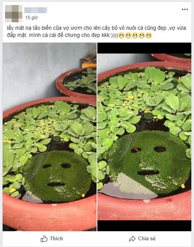 Anh chồng vui tính lấy mặt nạ của vợ ươm cây để thả vào hồ cá cho đẹp và cái kết khiến nhiều người hết hồn