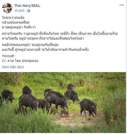 [NÓNG] Giải cứu thành công đội bóng, 4 người nhái cuối cùng đã ra khỏi hang, Thái Lan bắt đầu ăn mừng