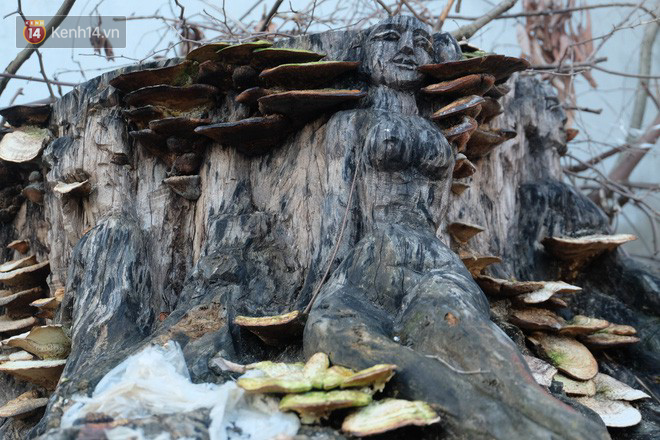 Gặp người họa sĩ cụt chân trong bộ ảnh gây sốt của nữ sinh trường SKĐA: Hóa điên sau 20 lần cất công tìm người vợ bỏ đi nhưng không thấy