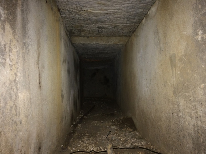 Căn nhà và số gỗ quý của trùm ma túy ở Lóng Luông được xử lý thế nào?