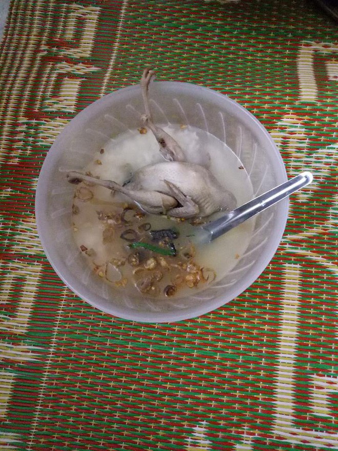 Chồng xắn tay vào bếp làm mực xào thiên lý, lên mâm vợ nhanh tay chụp ảnh, còn hỏi liệu ăn có chết người không