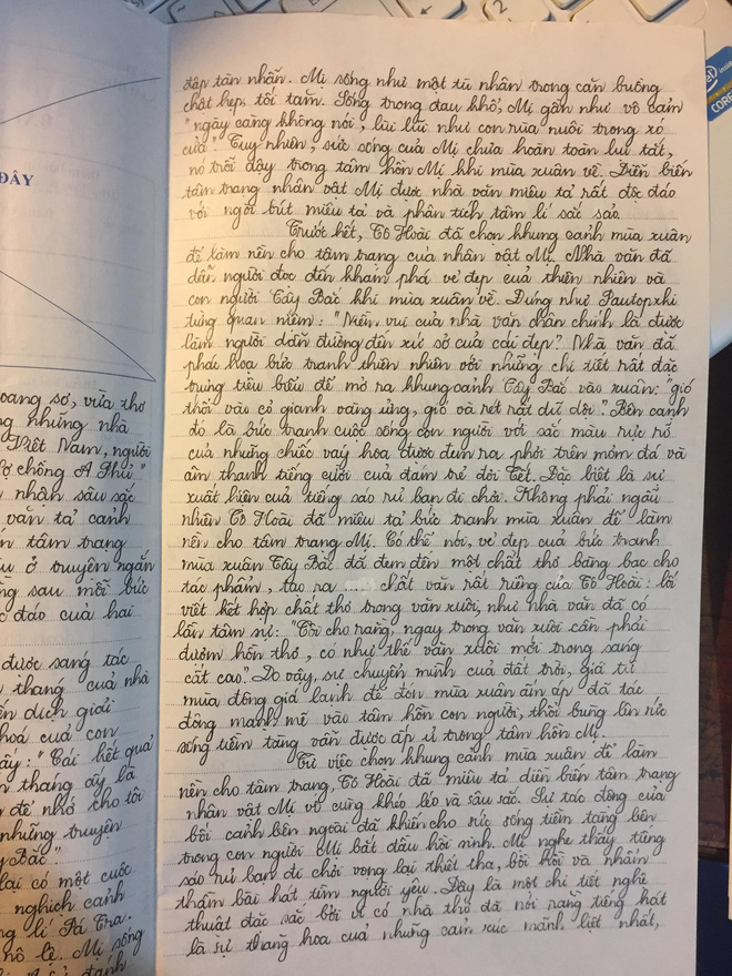 Cậu bạn đẹp trai đạt 9.75 điểm môn Ngữ Văn: Viết kín 8 mặt giấy, chữ nắn nót đến tận dòng cuối cùng