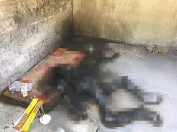 Bàng hoàng phát hiện thi thể người đàn ông đang phân hủy trong ngôi nhà hoang