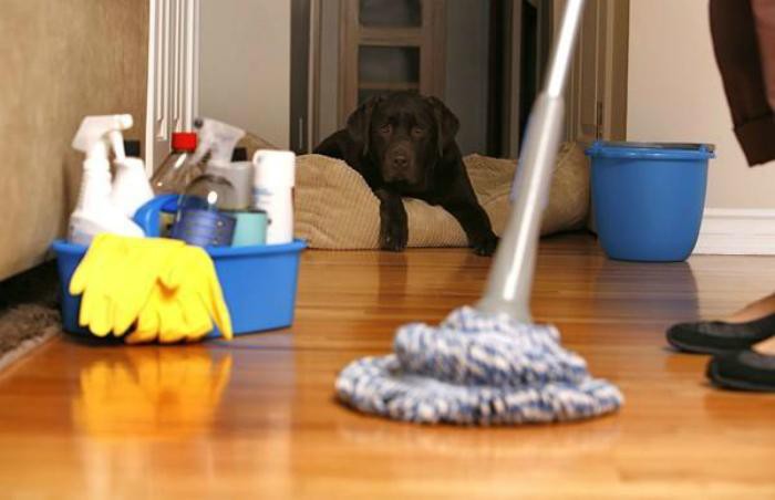 Một phụ nữ tử vong do ngộ độc chất tẩy rửa vệ sinh khi lau bếp: Chuyên gia đưa ra những cảnh báo đáng chú ý Một phụ nữ tử vong do ngộ độc chất tẩy rửa vệ sinh khi lau bếp: Chuyên gia đưa ra những cảnh báo đáng chú ý