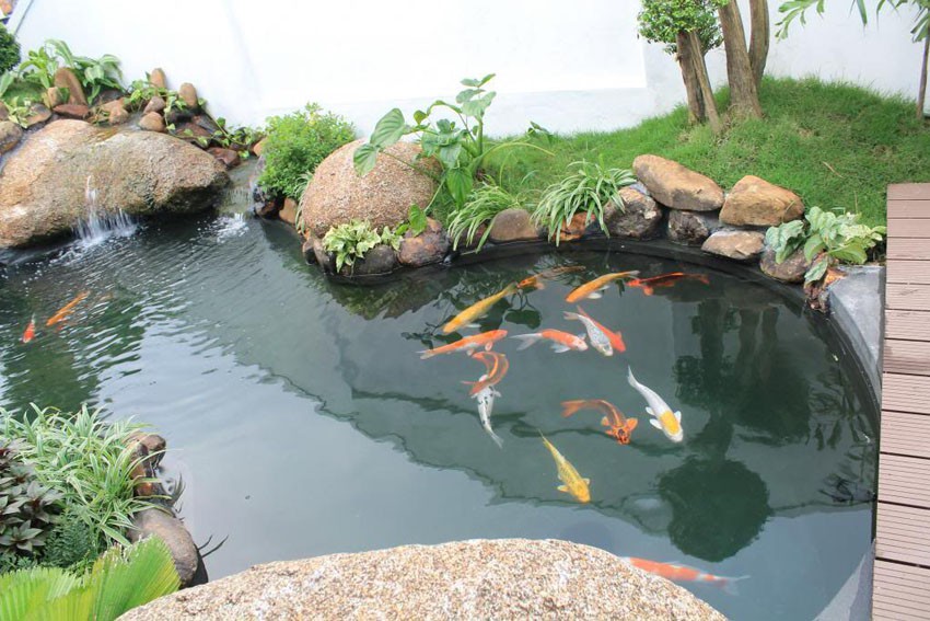 12 con giáp khi trang trí nhà cửa cần chú ý những điều cấm kỵ sau 12 con giáp khi trang trí nhà cửa cần chú ý những điều cấm kỵ sau