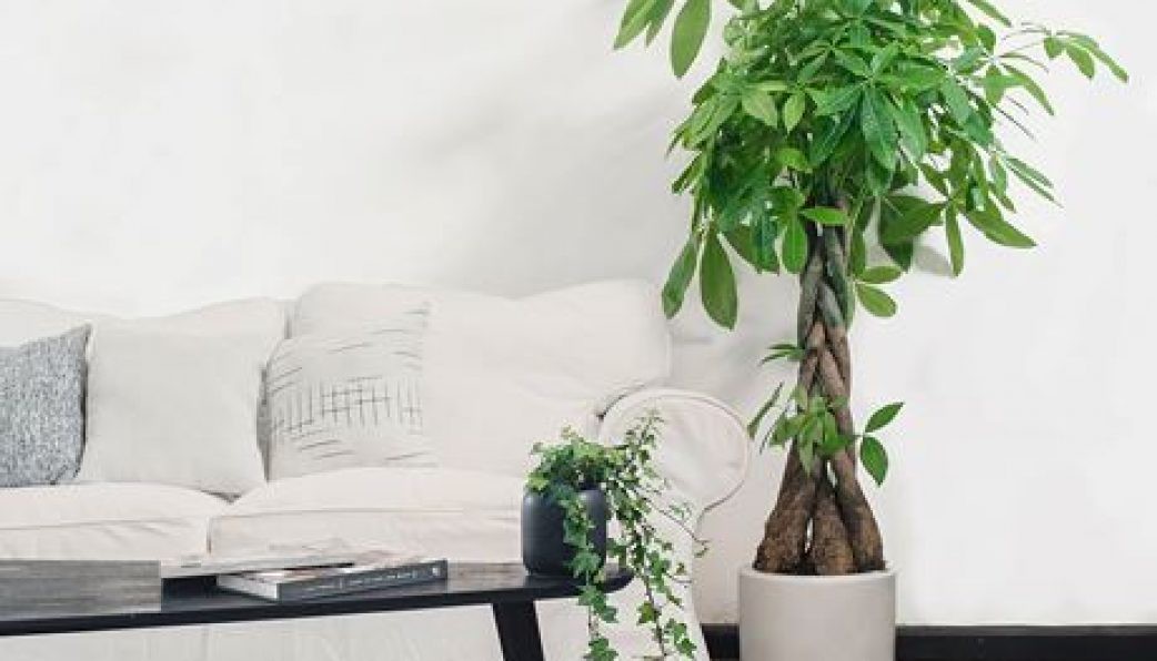 12 con giáp khi trang trí nhà cửa cần chú ý những điều cấm kỵ sau 12 con giáp khi trang trí nhà cửa cần chú ý những điều cấm kỵ sau