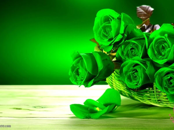 Thứ Năm của bạn (12/7): Song Tử thích những thứ mới mẻ