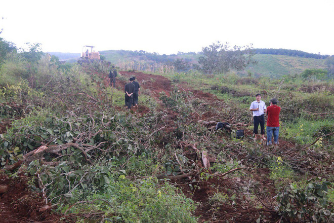 Xét xử phúc thẩm vụ nổ súng khiến 3 người chết, 13 bị thương do tranh chấp đất ở Đắk Nông