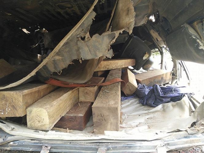 Tạm đình chỉ công tác hàng loạt cán bộ trạm bảo vệ rừng ở Đắk Nông