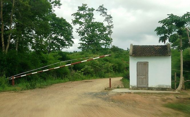 Tạm đình chỉ công tác hàng loạt cán bộ trạm bảo vệ rừng ở Đắk Nông