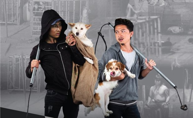 Bị lây bệnh dại, trộm chó quay sang bắt đền, khổ chủ đăng đàn nhờ dân mạng mách nước