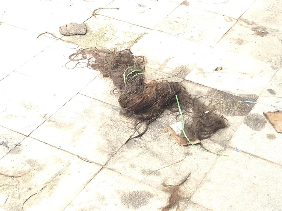 Người chứng kiến vụ cô gái nghi bị đánh ghen, đổ mắm tôm lên người: Cô gái không bị đánh