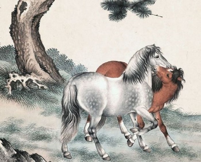 Ba con giáp mang vận vượng phu, là thần may mắn của cả gia đình