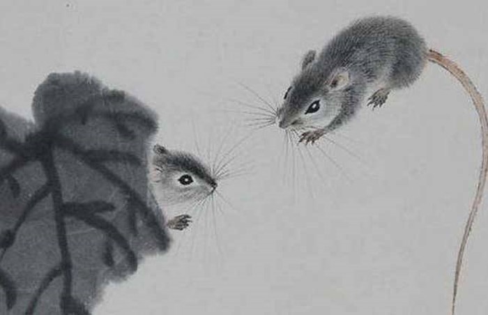 Ba con giáp mang vận vượng phu, là thần may mắn của cả gia đình