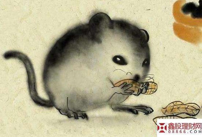 Ba con giáp mang vận vượng phu, là thần may mắn của cả gia đình