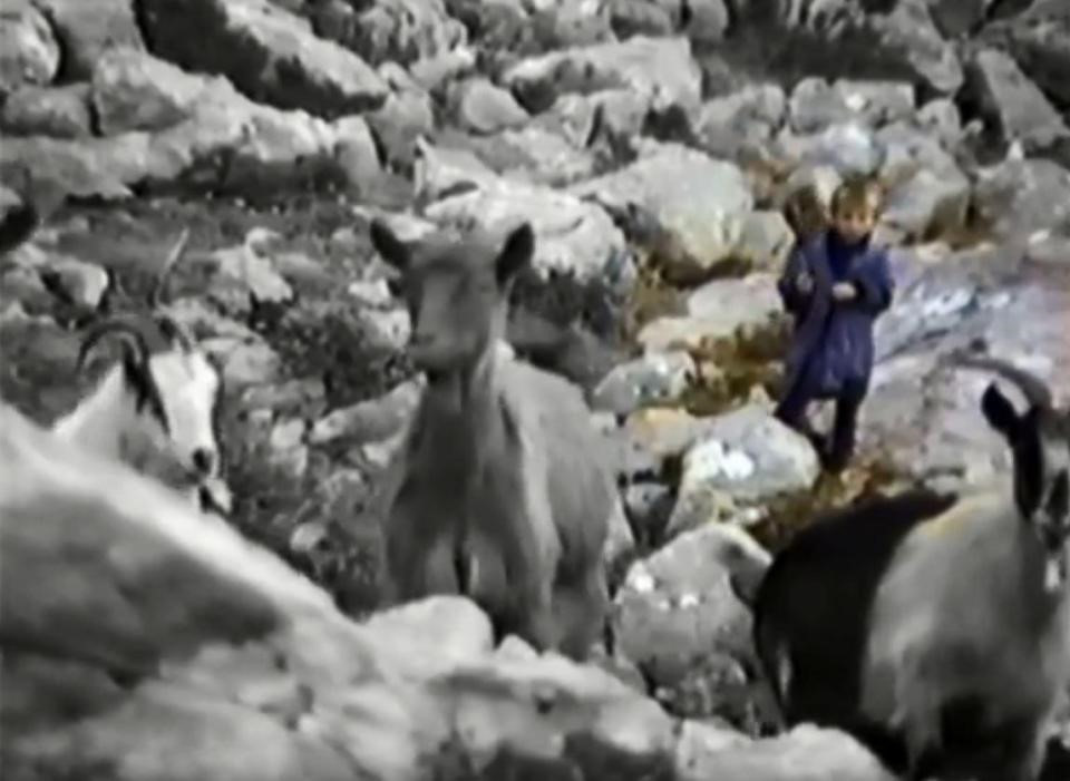 Chiến tranh, cảm xúc và trận chung kết lịch sử của Croatia