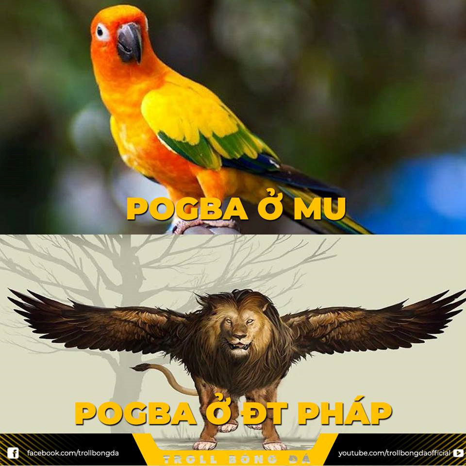 Ảnh chế Mbappe thay thế Ronaldo, Messi sau khi Pháp vô địch World Cup