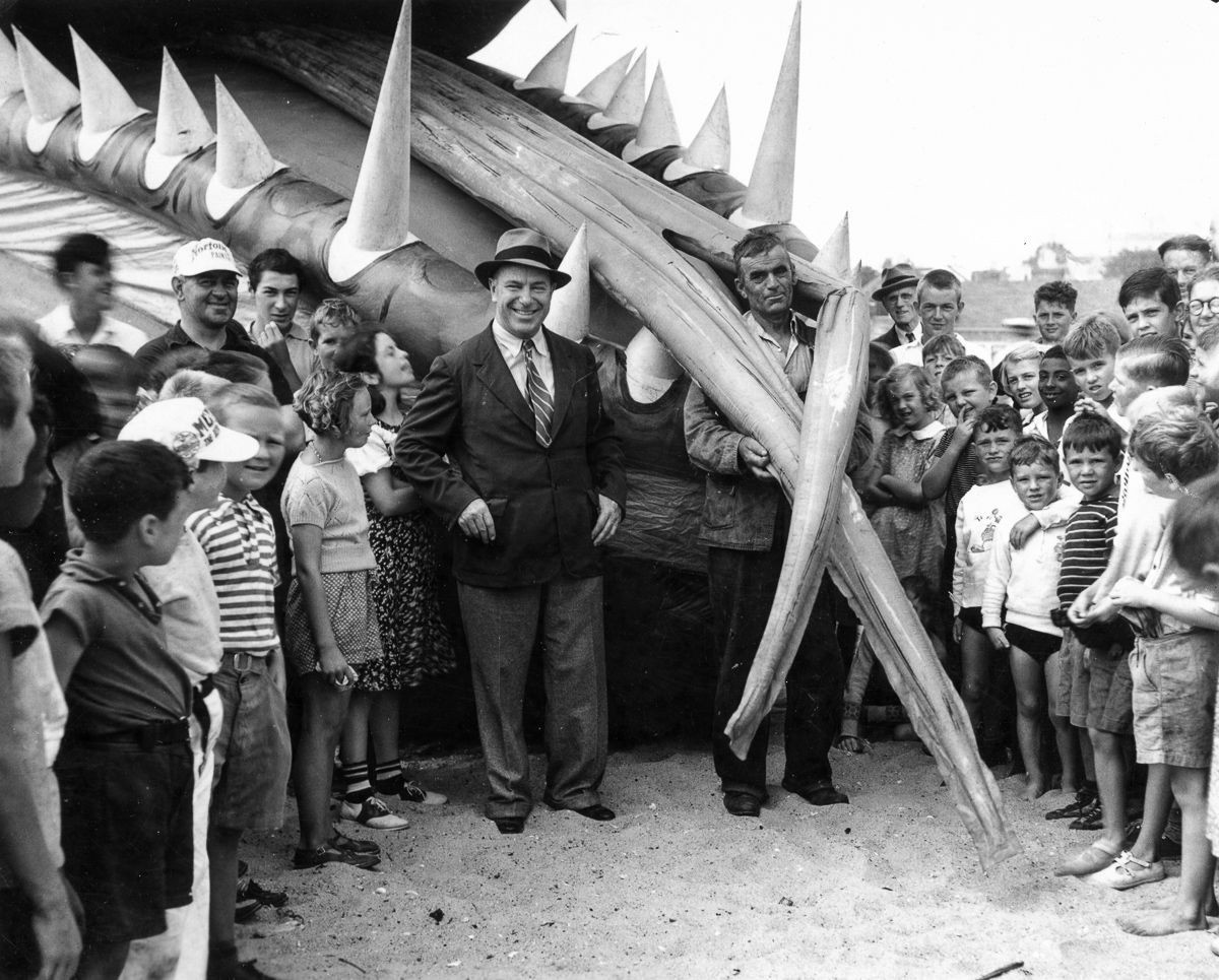 Rắn khổng lồ Nantucket 1937: Con quái vật biển gây rúng động giới khoa học, làm dân tình khiếp sợ xanh mặt hóa ra chỉ là... bong bóng đồ chơi