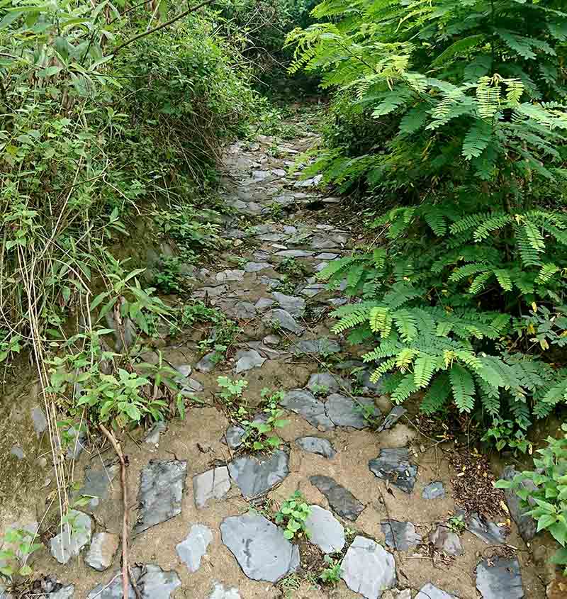 Chân tướng giáo viên tiểu học cộm cán, ẩn nấp rừng sâu