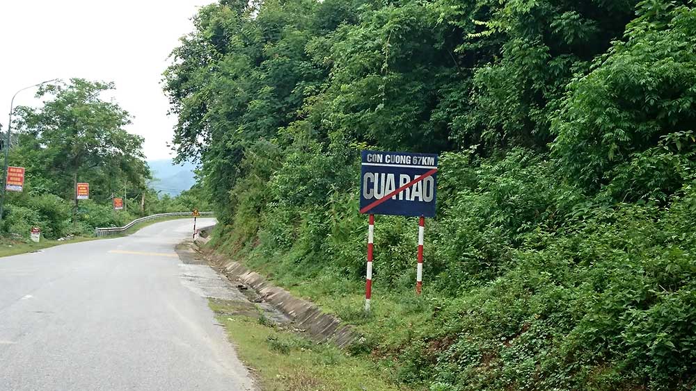 Chân tướng giáo viên tiểu học cộm cán, ẩn nấp rừng sâu