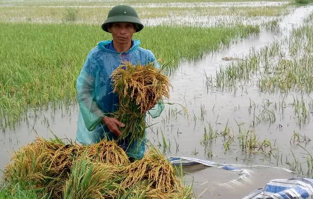 Chủ tịch Thanh Hóa, Nghệ An phát công điện khẩn chống bão số 3