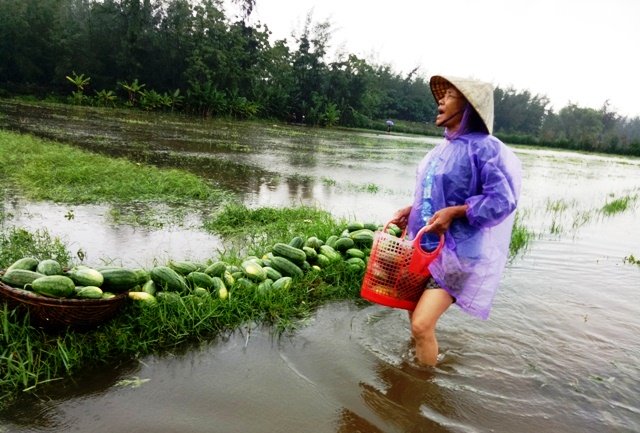Chủ tịch Thanh Hóa, Nghệ An phát công điện khẩn chống bão số 3