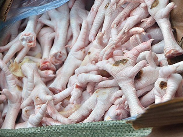 Giám sát chặt lô chân gà Ba Lan nghi nhiễm khuẩn vào Việt Nam