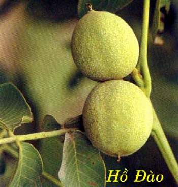 Bài thuốc giúp quý ông bớt trăn trở trong tình dục Bài thuốc giúp quý ông bớt trăn trở trong tình dục