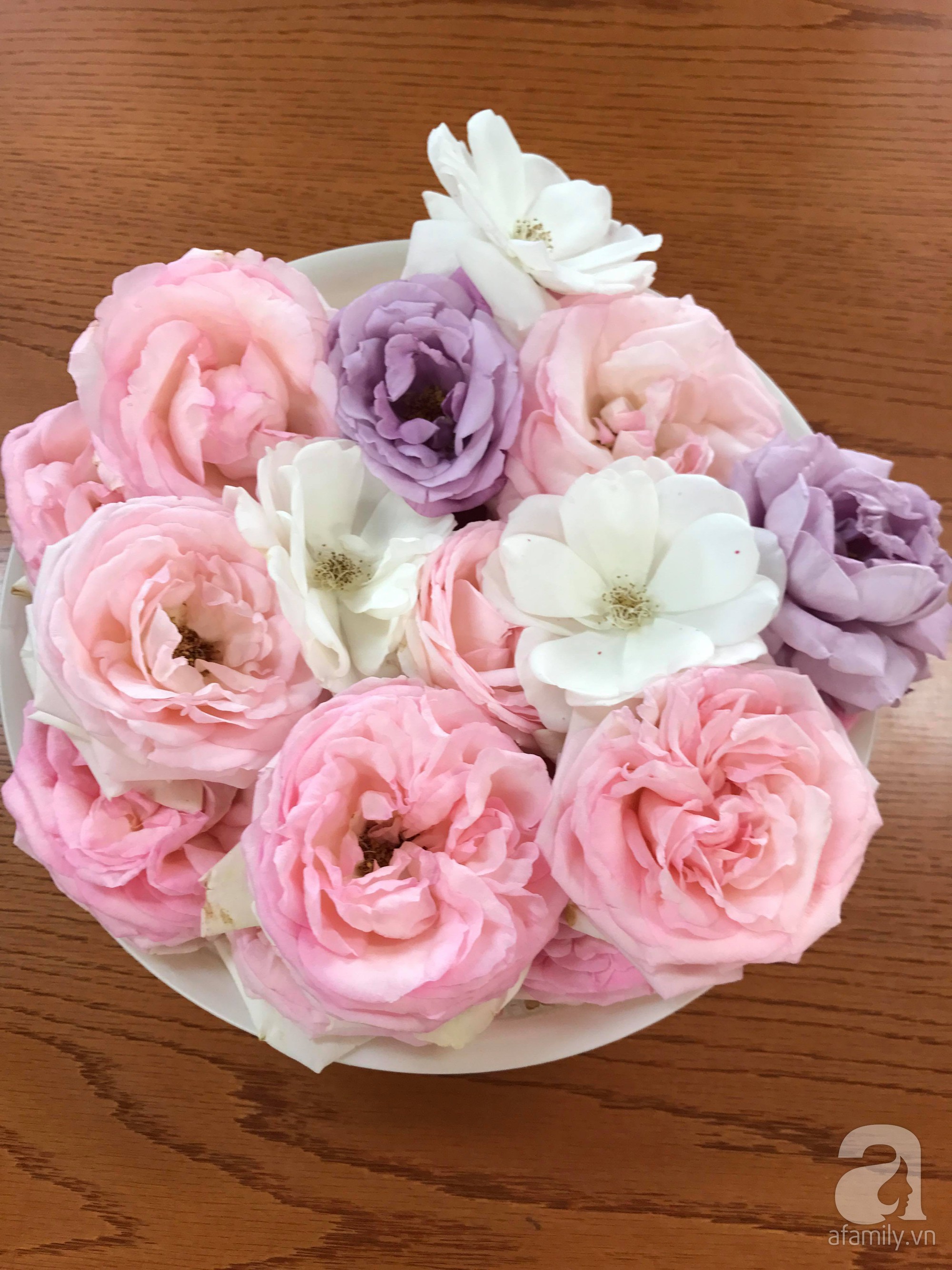 Bức tường hoa hồng đẹp như mơ trong sân vườn vỏn vẹn 6m² của người phụ nữ bỏ ra 5 năm miệt mài chăm sóc