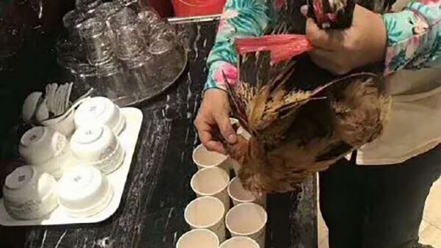 Công ty Trung Quốc bị tố bắt nhân viên uống máu gà để mừng công