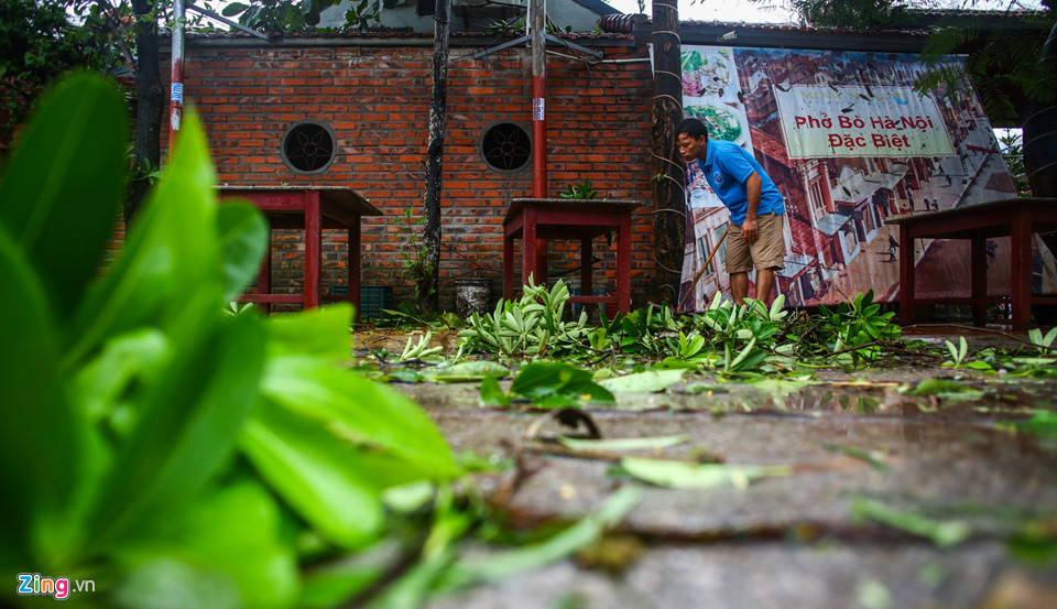 Ven biển Thanh Hoá ngổn ngang, xơ xác sau bão Sơn Tinh