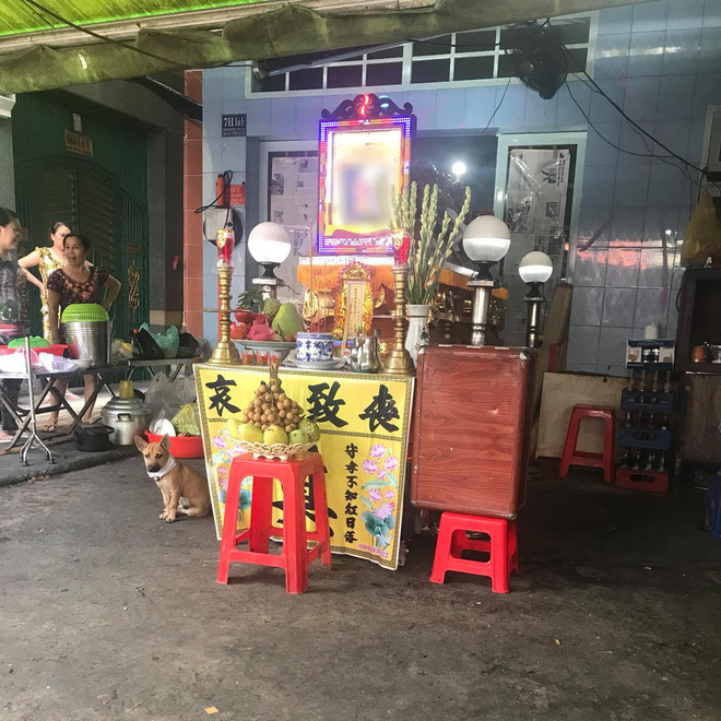 Hình ảnh xúc động: Chủ vừa qua đời, chú chó nhỏ buồn bã bỏ cả ăn để túc trực bên linh cữu không chịu rời