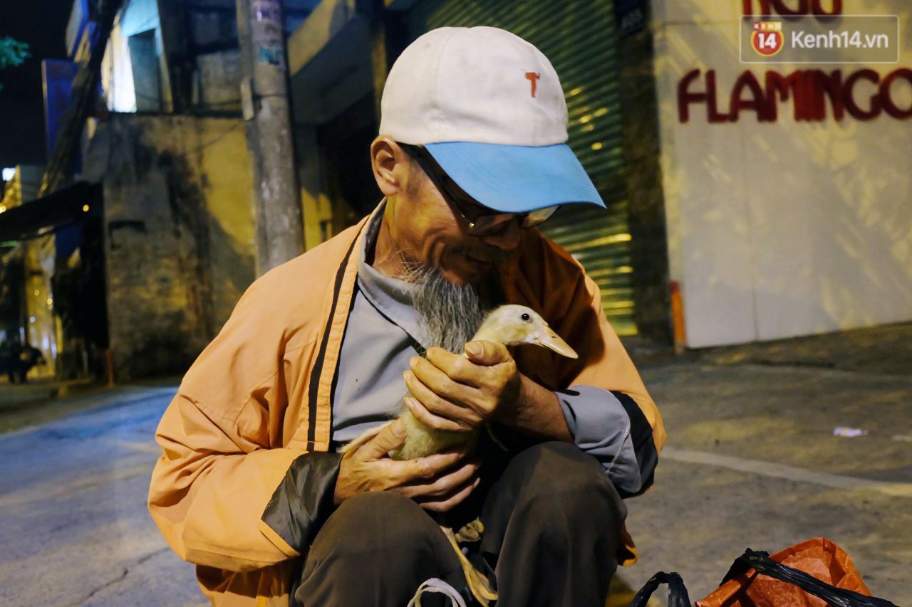 Câu chuyện đáng yêu về chú vịt con lon ton theo sau ông lão vé số ở Sài Gòn: Từ ngày con quỷ sứ này chạy theo, ông thấy vui hơn nhiều