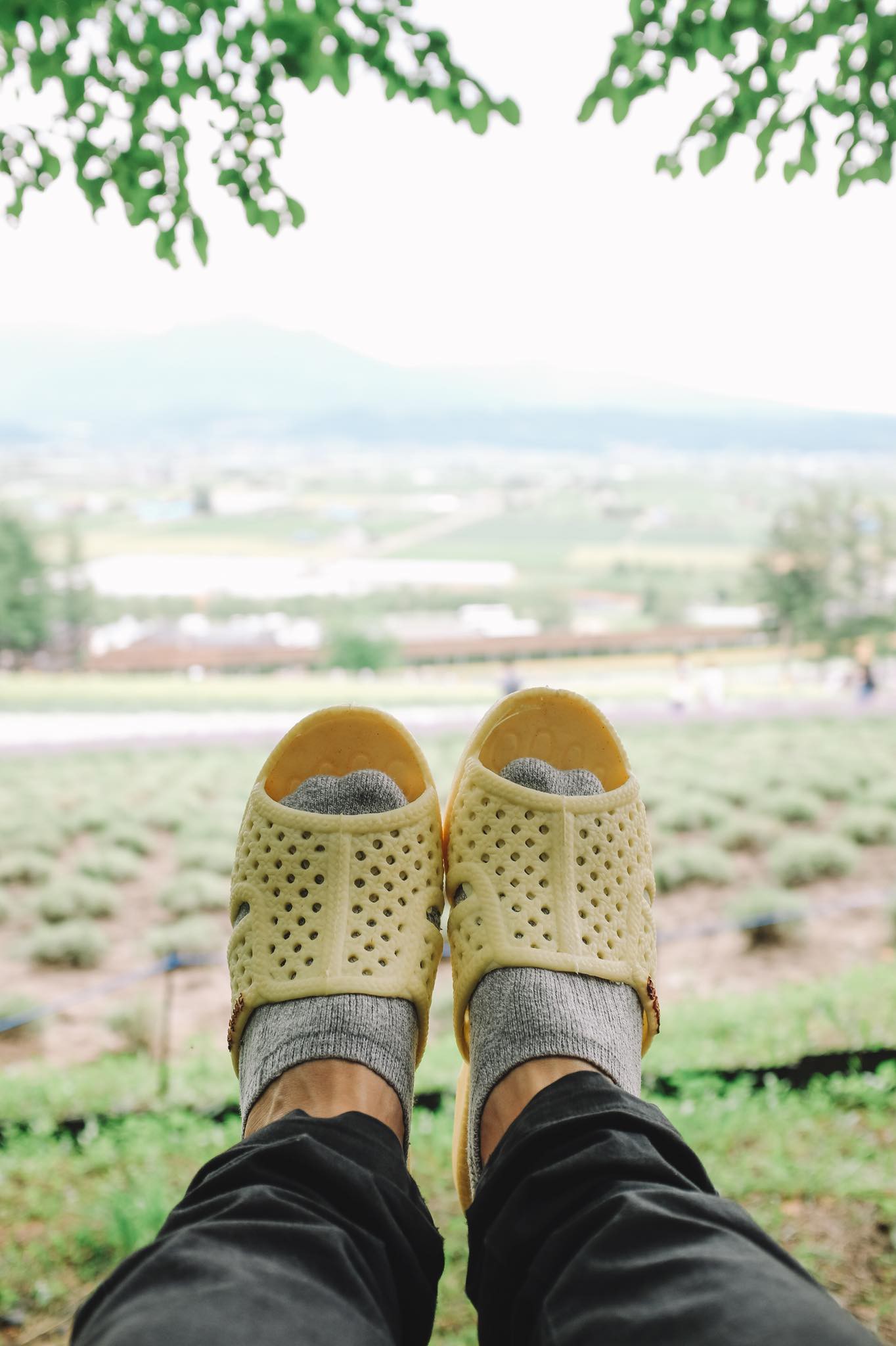 Thánh dép tổ ong tái xuất với bộ ảnh mới, lần này là rong ruổi miền Bắc nước Nhật xinh đẹp