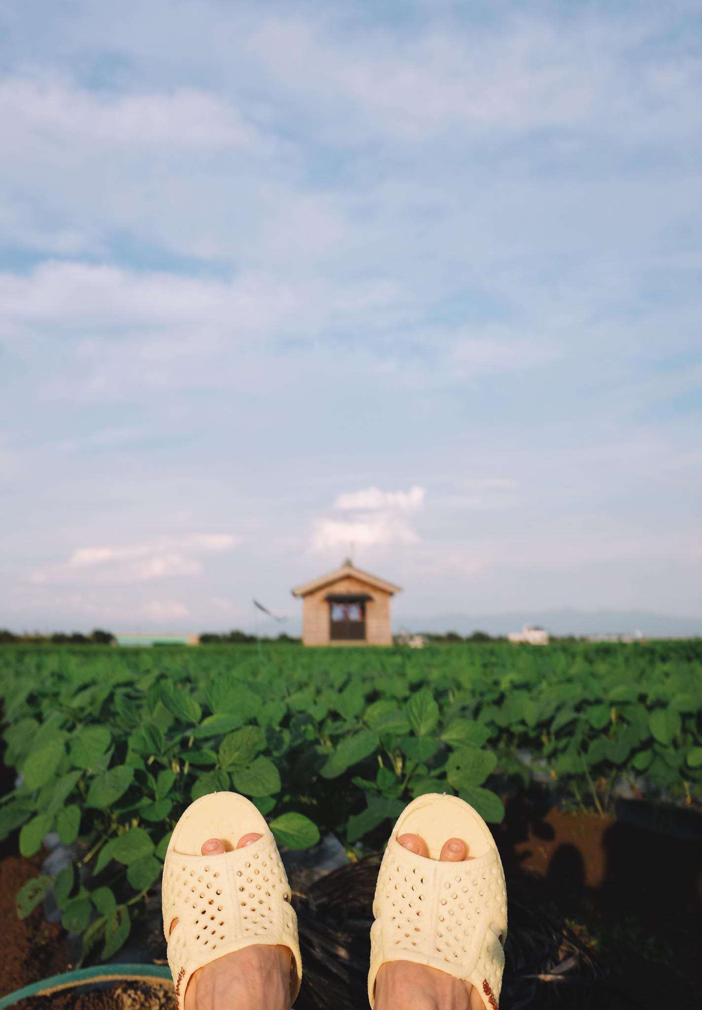 Thánh dép tổ ong tái xuất với bộ ảnh mới, lần này là rong ruổi miền Bắc nước Nhật xinh đẹp