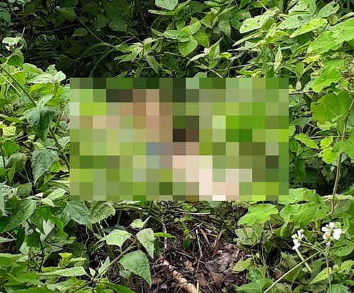 Người đàn ông xăm hình kiếp cô đơn chết đói trong rừng