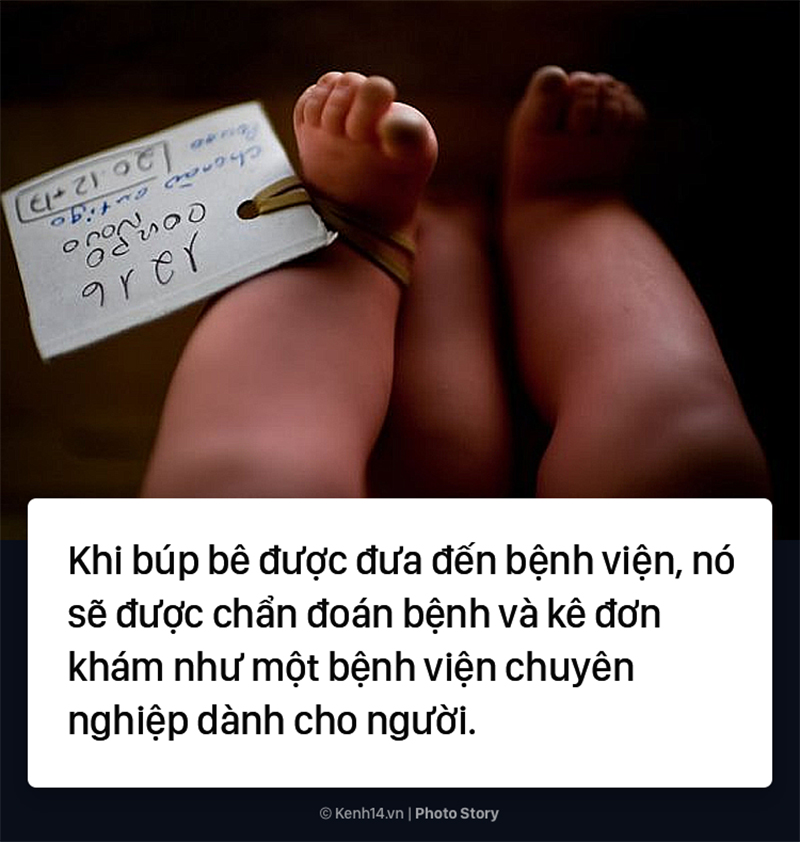 Choáng ngợp với bệnh viện búp bê chuyên nghiệp như dành cho con người