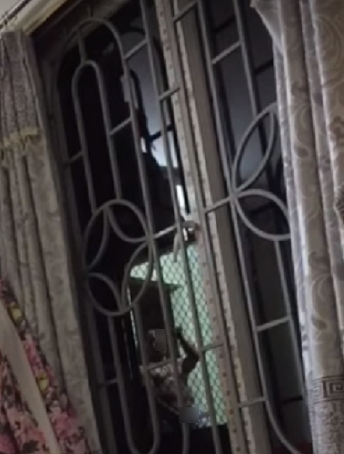 Tái mặt khi gặp hàng xóm biến thái, vừa tự sướng vừa vẫy tay khiêu khích